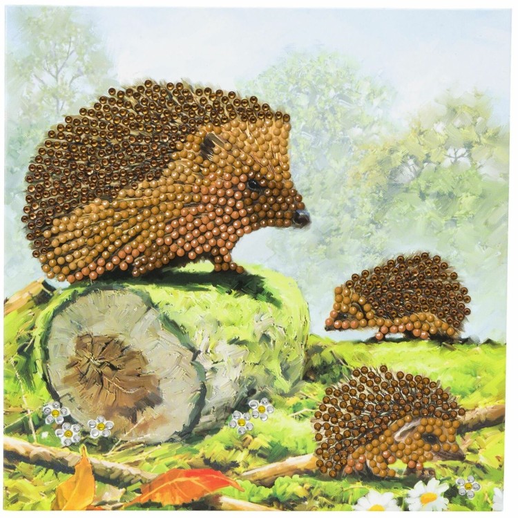 Crystal Art Card - Hedgehogs