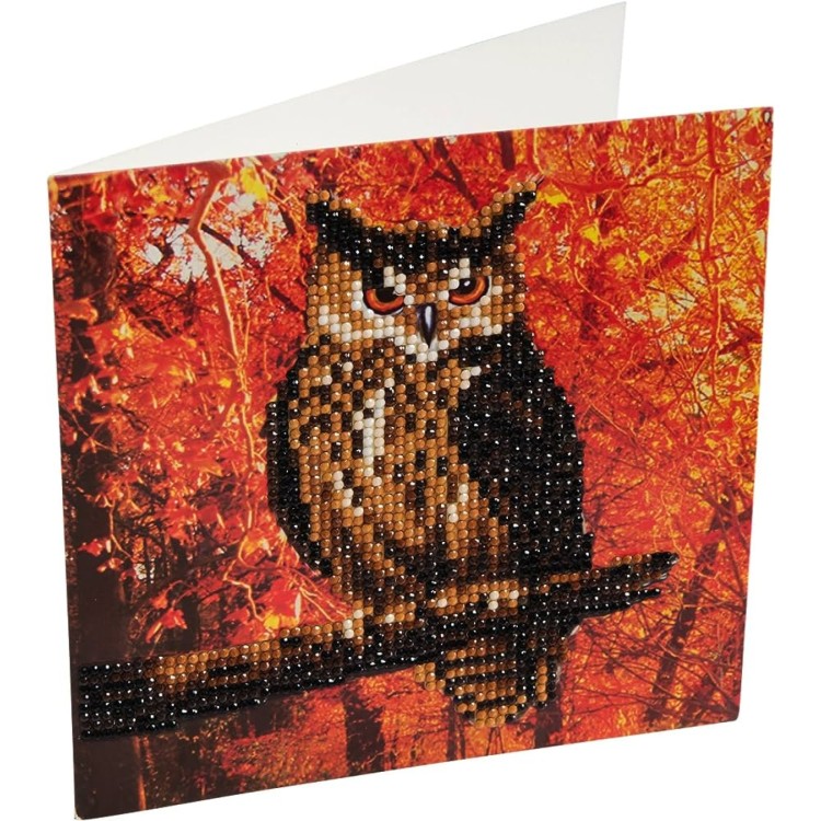 Crystal Art Card - Owl