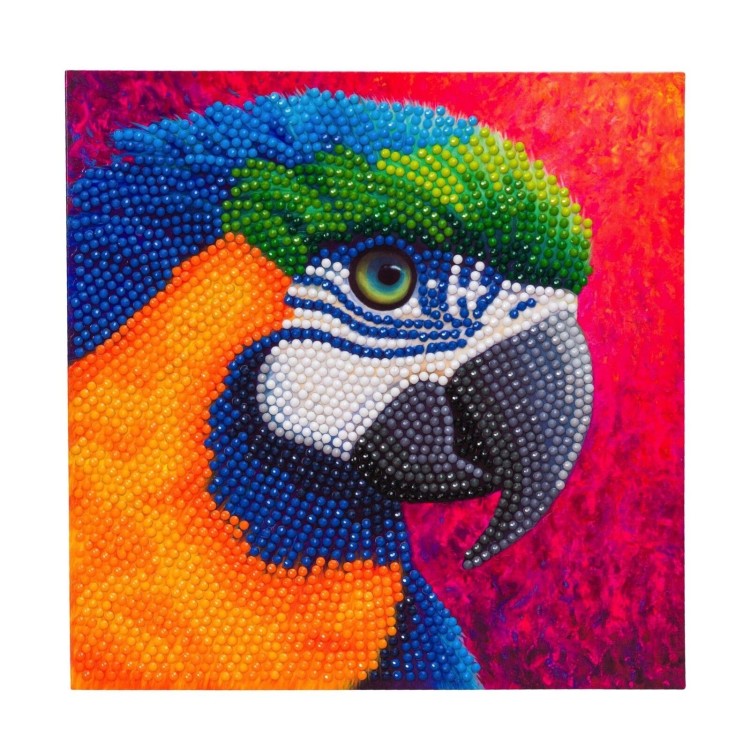 Crystal Art Card - Parrot