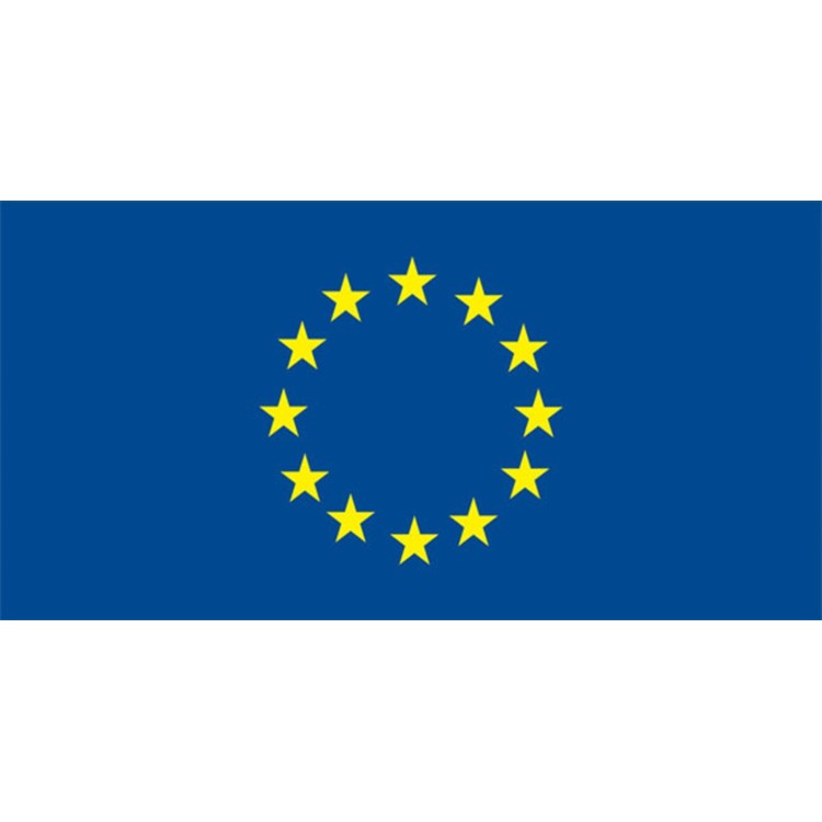 EU Flag