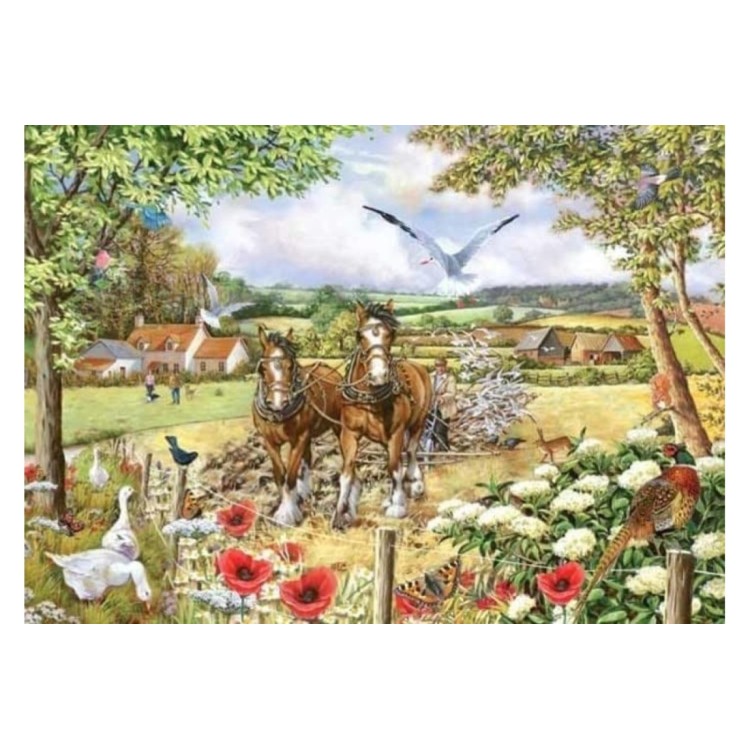 House of Puzzles BIG 250 Bonnie & Clyde