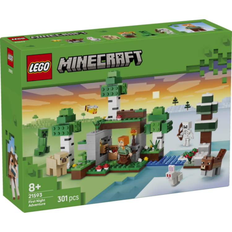 LEGO 21593 Minecraft First Night Adventure