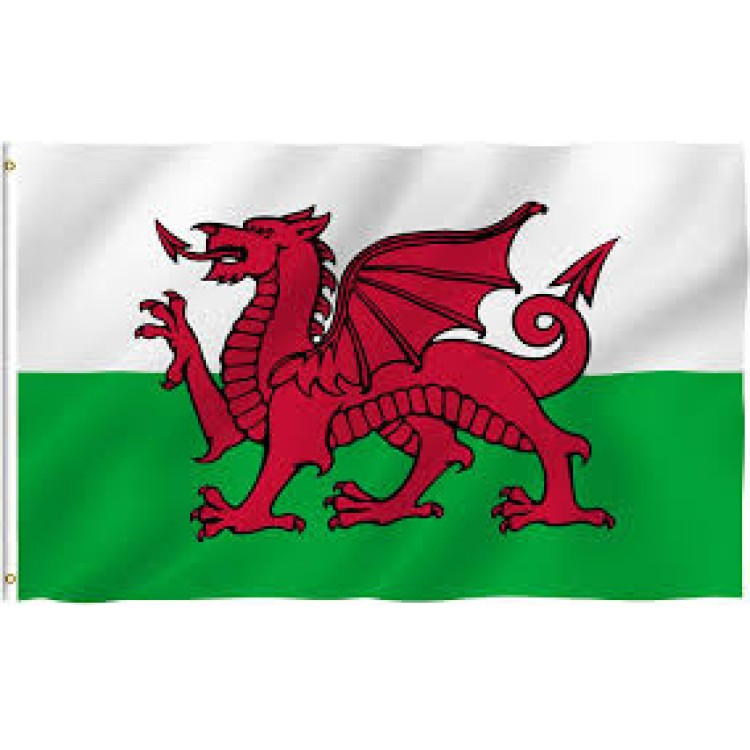 Welsh Flag 5ft x 3ft